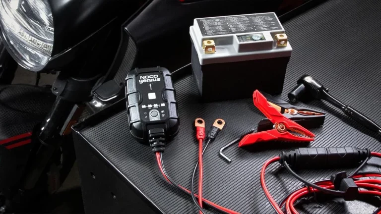 8 Best Lithium Battery Chargers in 2025